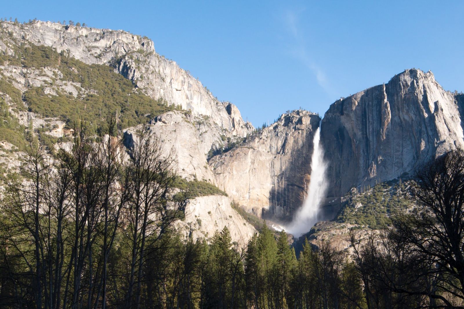 Yosemite Falls from the valley floor.