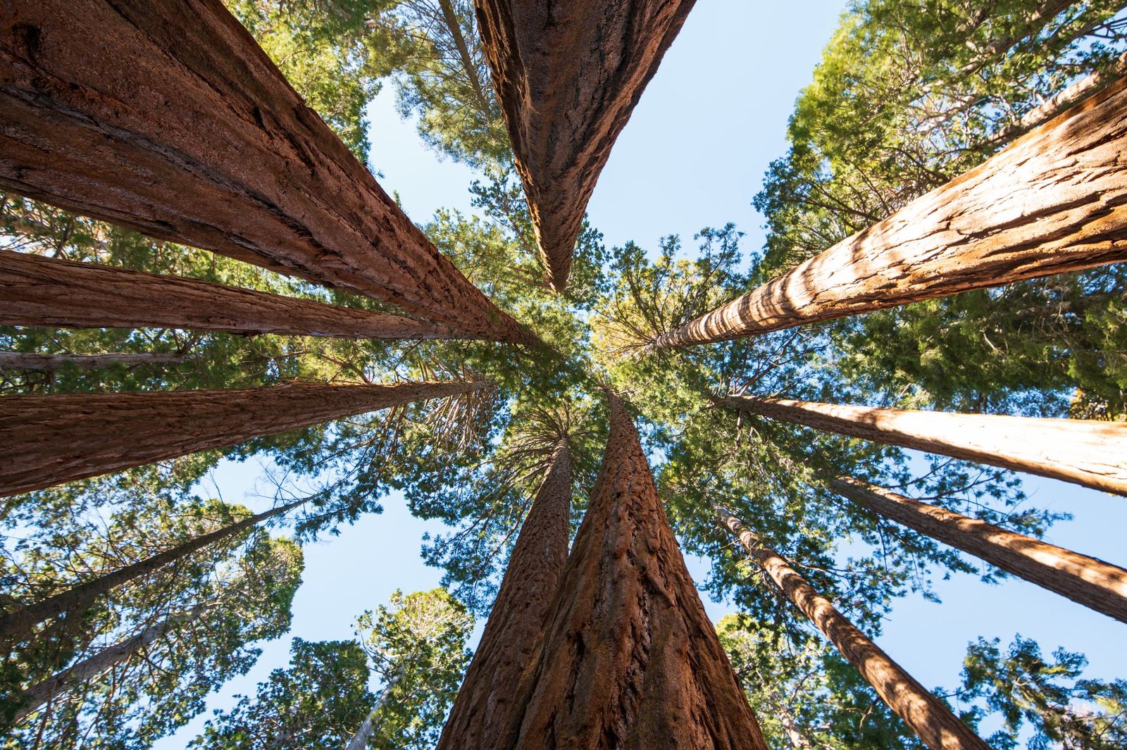 Looking up.