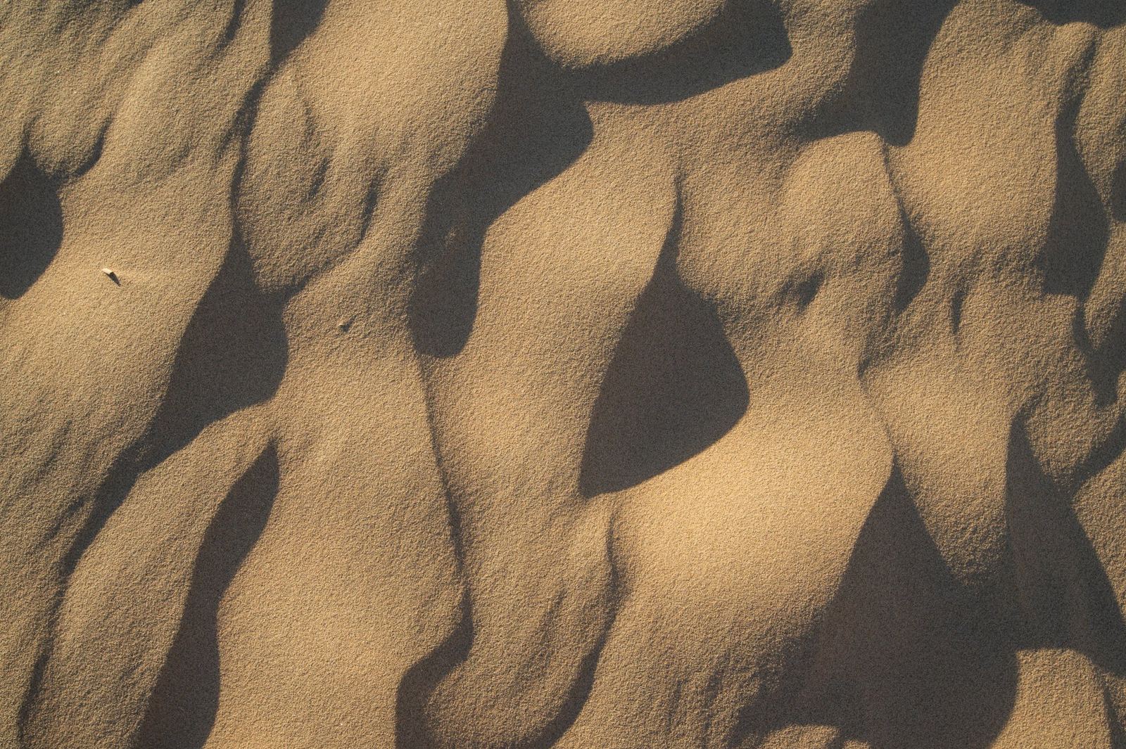 Ripples on the dunes in the last light.