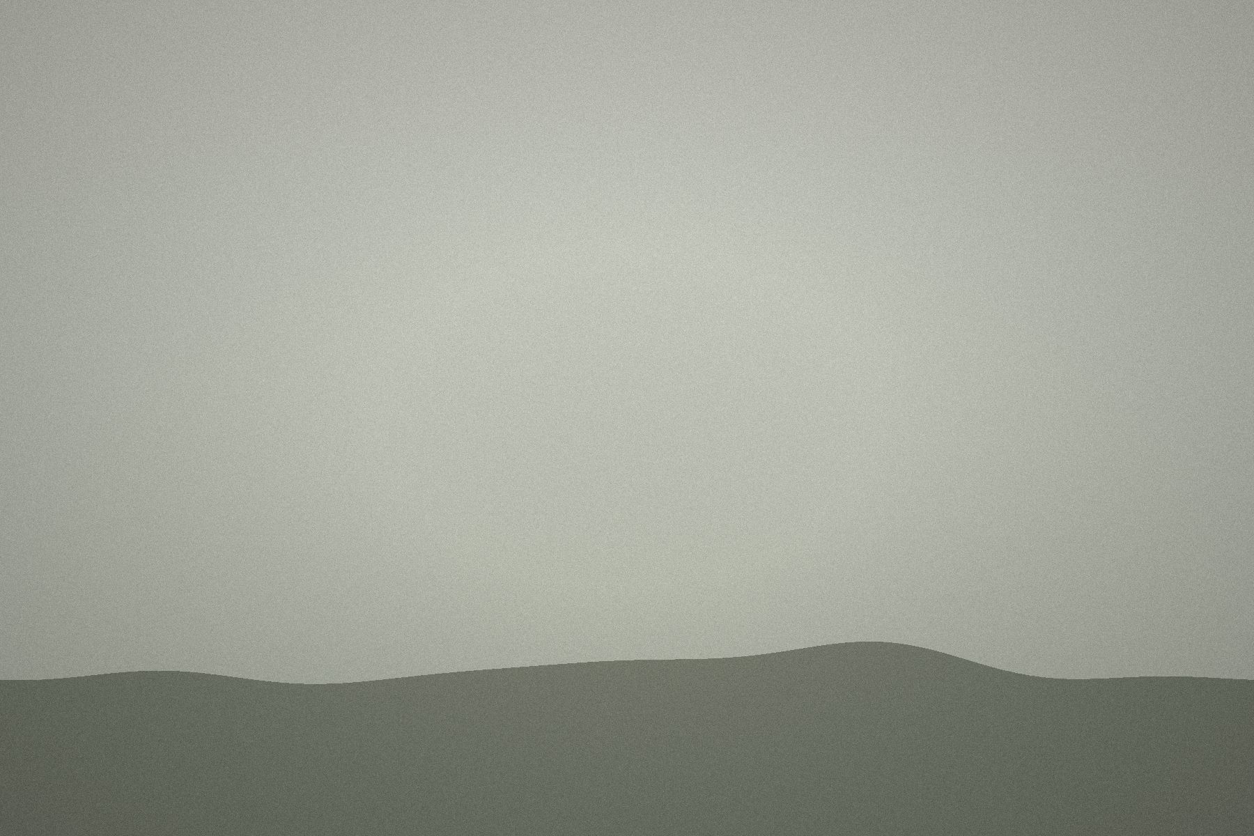 A soft grey-green field of colour.