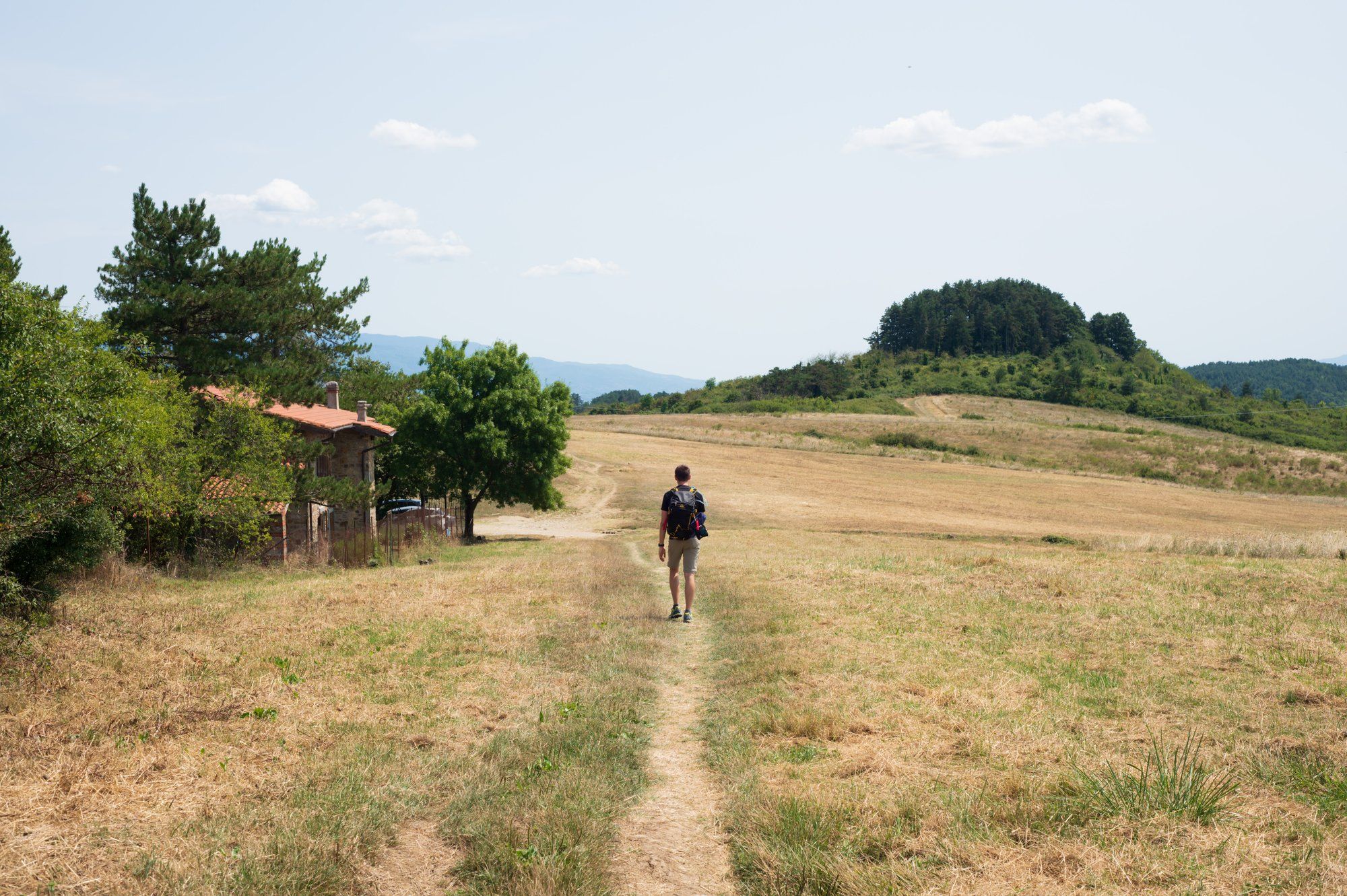 A walker on a dirt track through a dry, golden meadow under a pale sky.